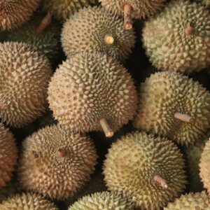 a bunch of durians that are sitting on a table