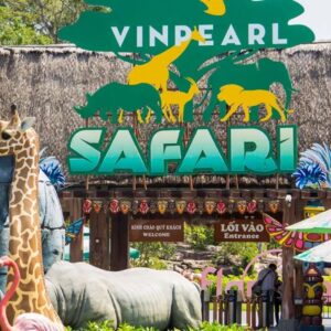 ke Vin Safari